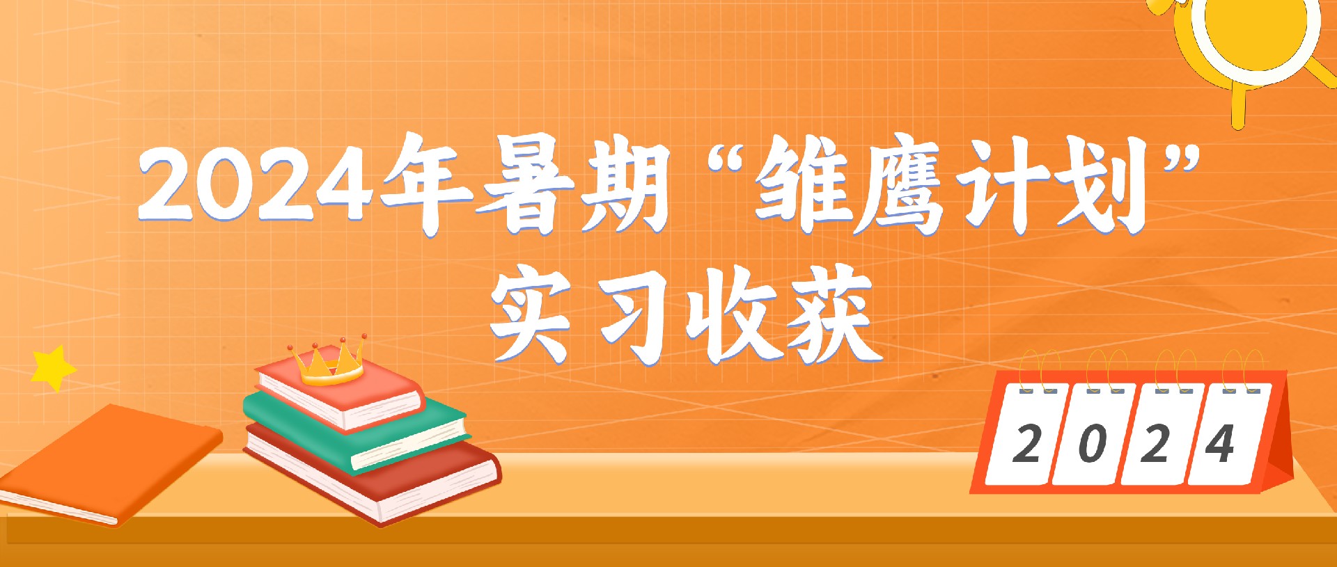 2024年暑期“雏鹰计划”：感恩相遇，未来可期——大学生实习收获分享